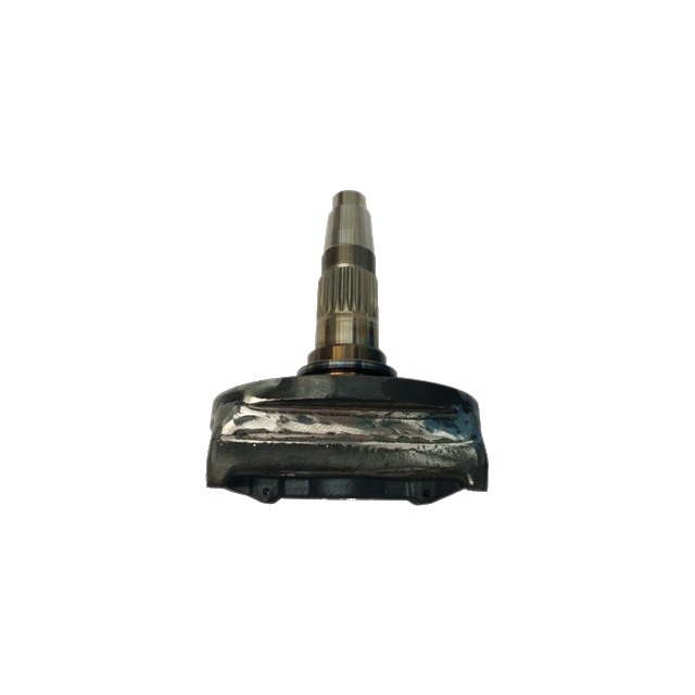Support de Dent DM Lateral Rapido M19400312R référence fournisseur 5123130